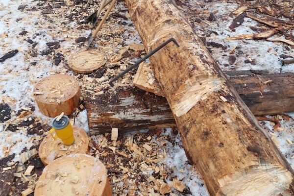 Winter Traditional Log Hewing 2